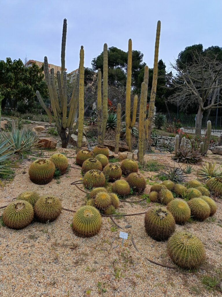 Parque de la Paloma Benalmadena